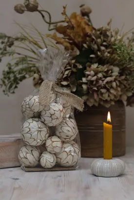 Dried Fleur Decorative Spheres