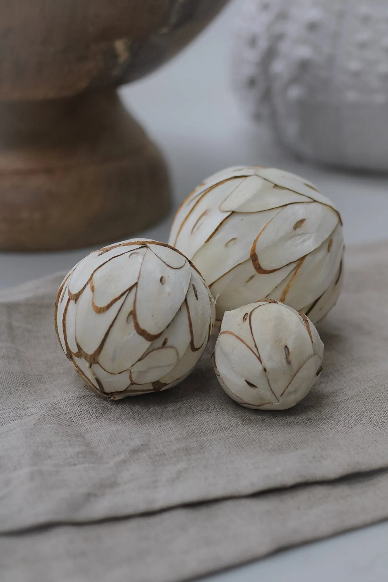 Dried Fleur Decorative Spheres